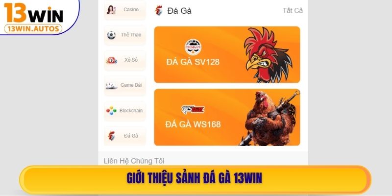 Giới thiệu sảnh Đá Gà 13WIN