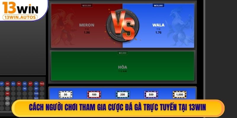 Cách người chơi tham gia cược Đá Gà trực tuyến tại 13WIN
